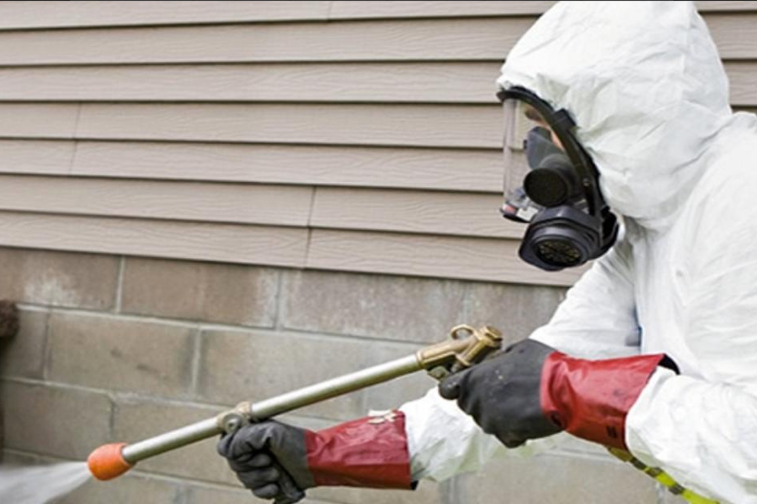 pes exterminators south cirby